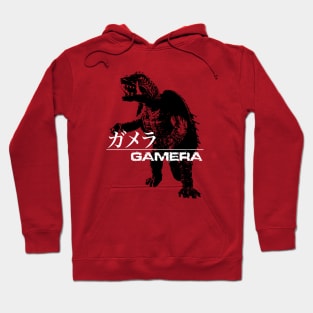 GAMERA : double names 2.0 Hoodie